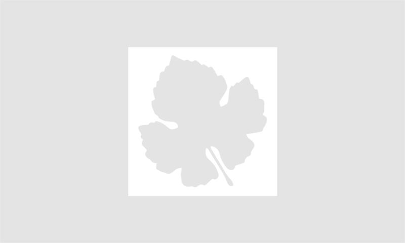 loading icon